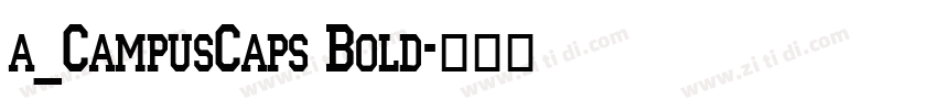 a_CampusCaps Bold字体转换